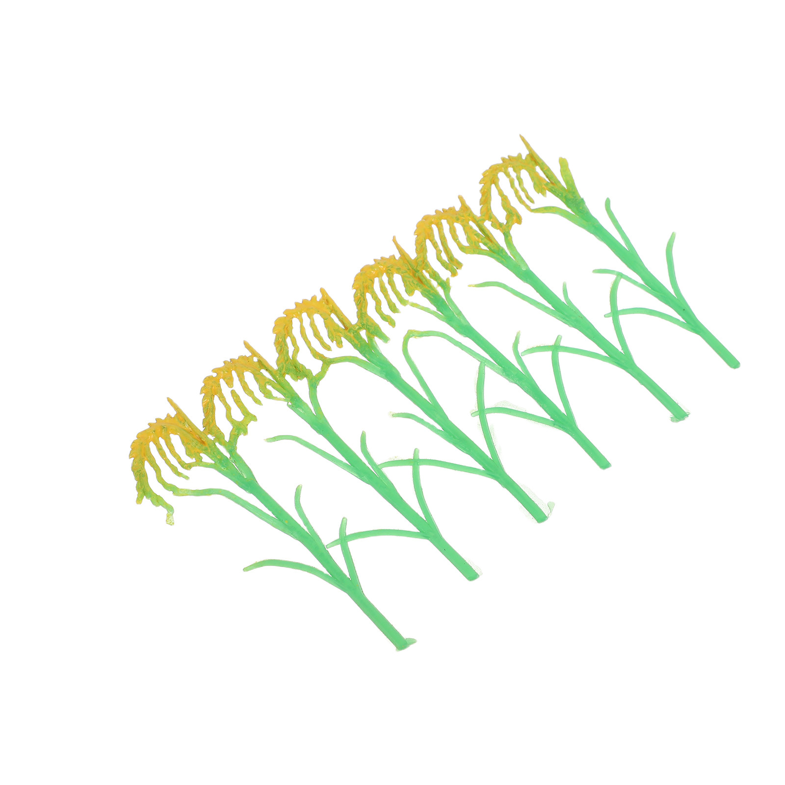 Agriculture Farming School - Lifelike Crop for School Farming Education